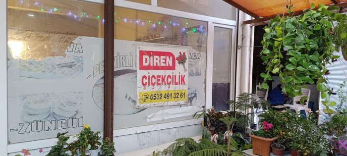 Diren &Ccedil;i&ccedil;ek&ccedil;ilik