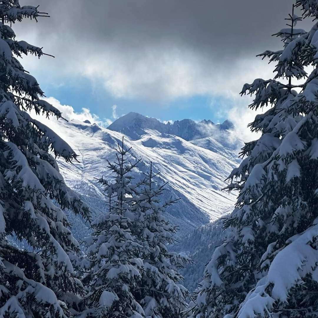Doğu Karadeniz'de Kar Yağışı Etkisini G&ouml;sterdi