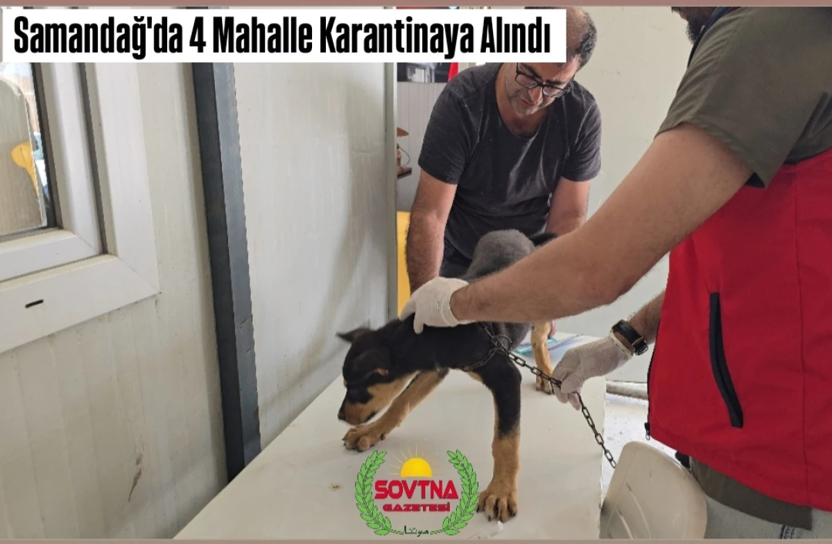 Samandağ&rsquo;da Kuduz Alarmı: D&ouml;rt Mahalle Karantinaya Alındı