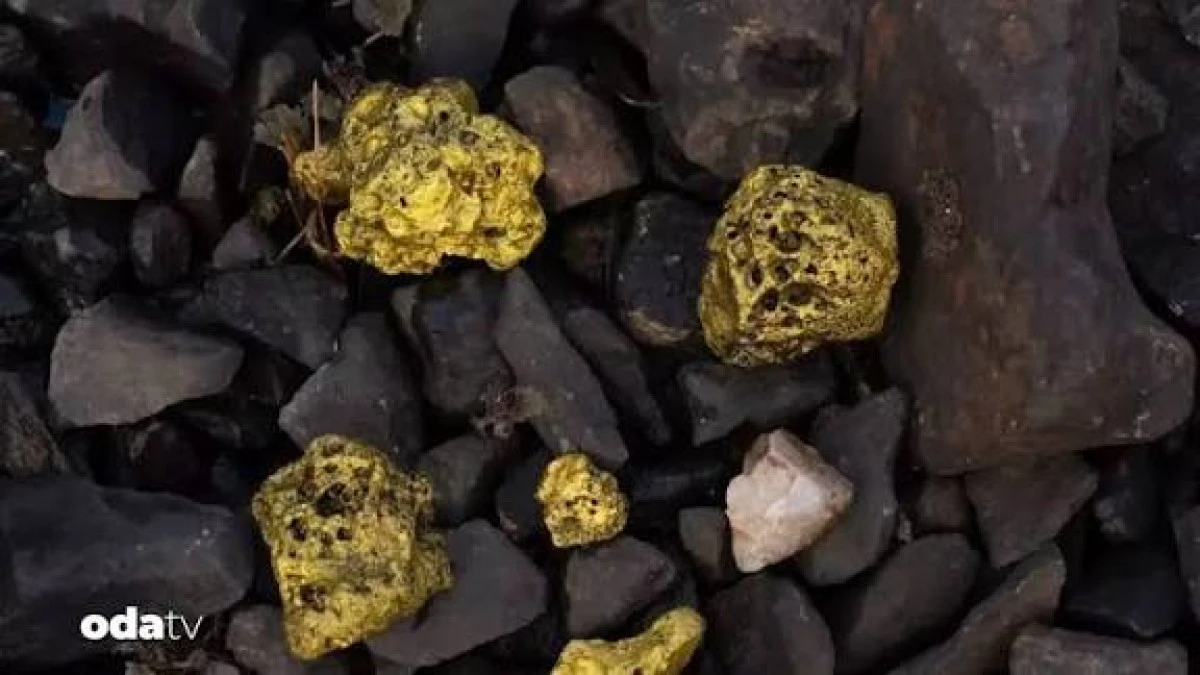 Sivas&rsquo;ta 1,8 Milyar Dolar Değerinde Altın Rezervi Bulundu