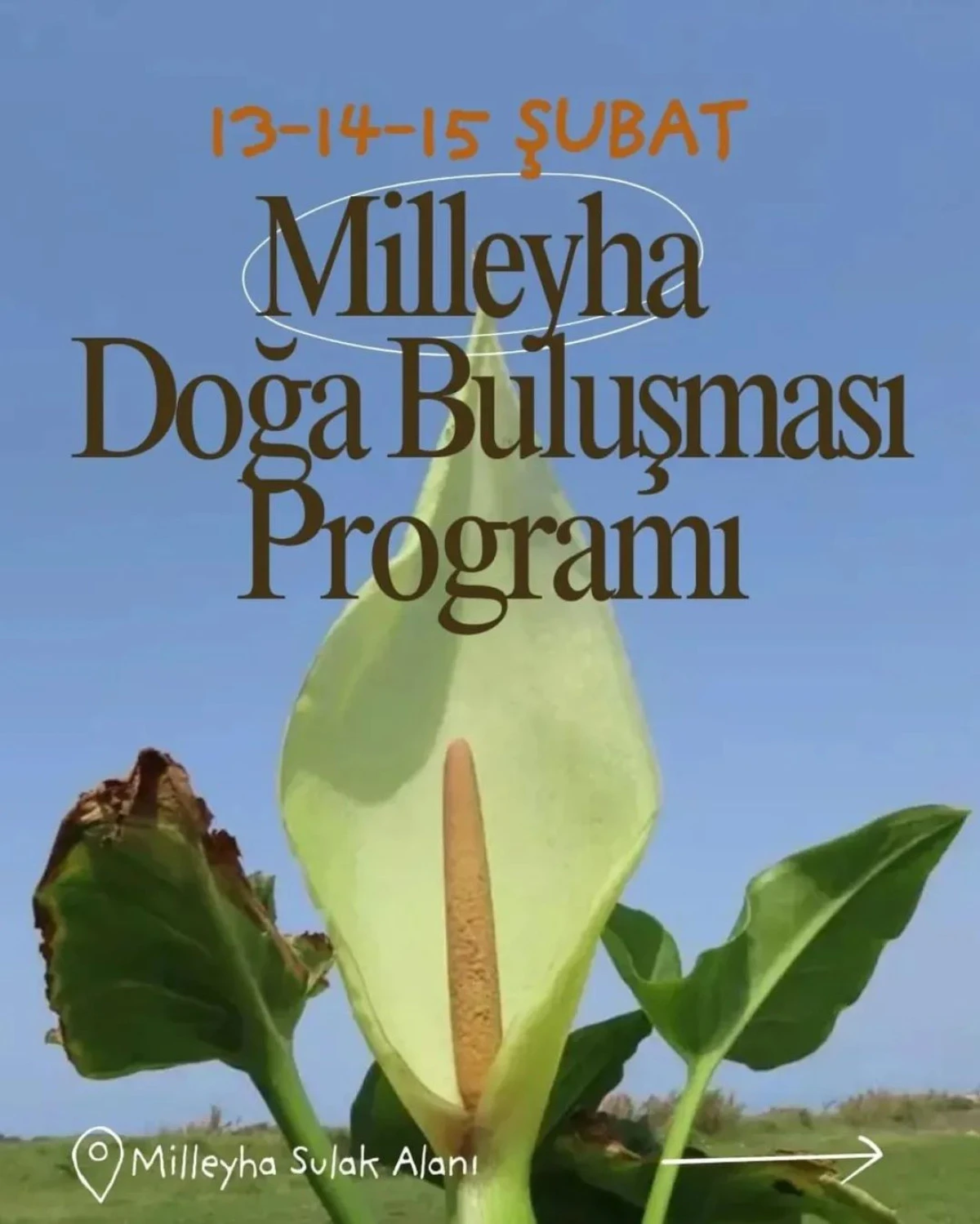 T&Uuml;RKİYE&rsquo;DE BİR İLK: Milleyha&rsquo;da Doğa G&ouml;zlem Merkezi A&ccedil;ılıyor